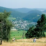 Edelweiss 'ettelsberg' Deluxe Mit Hotelanbindung, Saunalandschaft Und Meinecardplus *