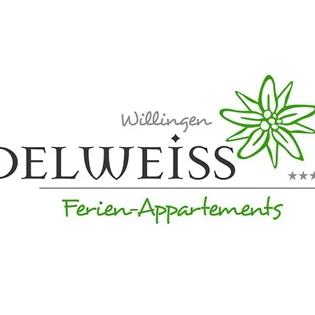 Edelweiss 'ettelsberg' Deluxe Inkl Wellness-spa Und Meinecardplus 빌링겐