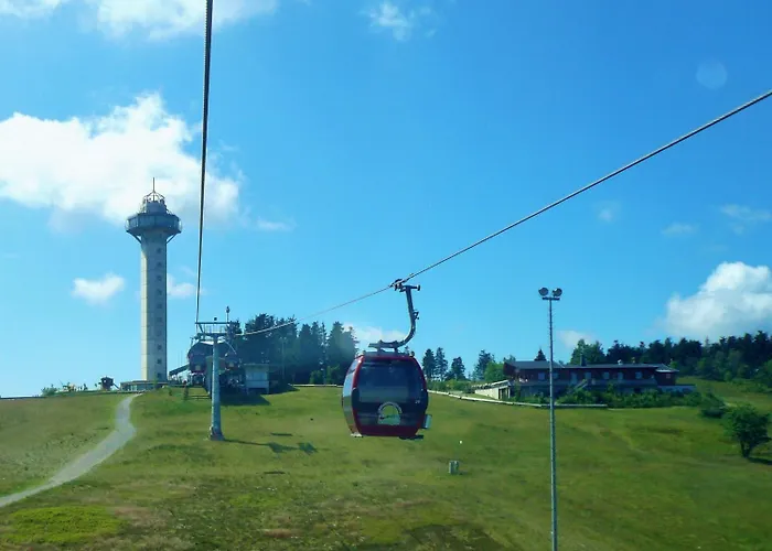 Apartment Edelweiss 'ettelsberg' Deluxe Inkl Wellness-spa Und Meinecardplus