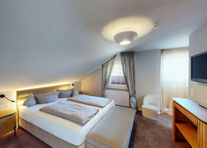 Edelweiss 'ettelsberg' Deluxe Inkl Wellness-spa Und Meinecardplus * Willingen (Upland)