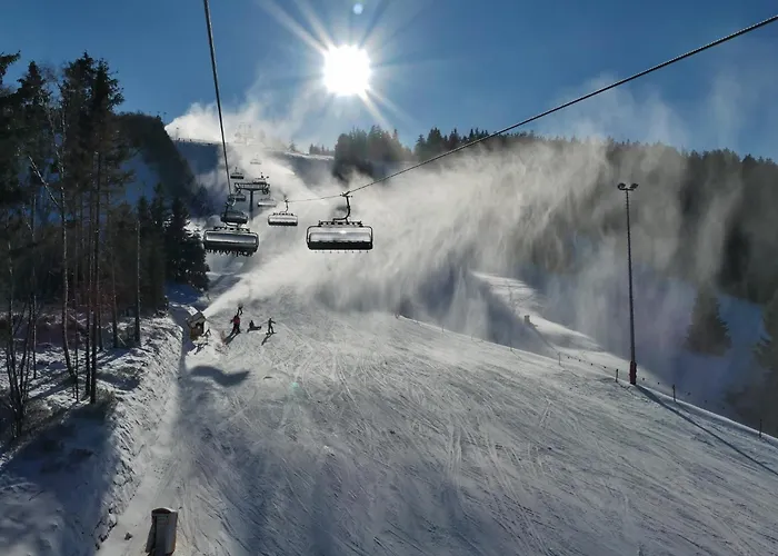 Edelweiss 'ettelsberg' Deluxe Mit Hotelanbindung, Saunalandschaft Und Meinecardplus 아파트 *